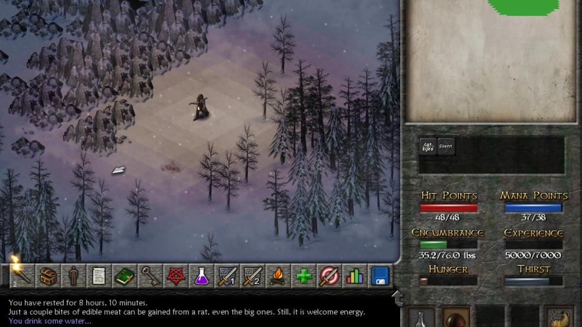 Eschalon: Trilogy (Complete) Screenshot 2